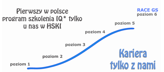program iq - szkolenie
