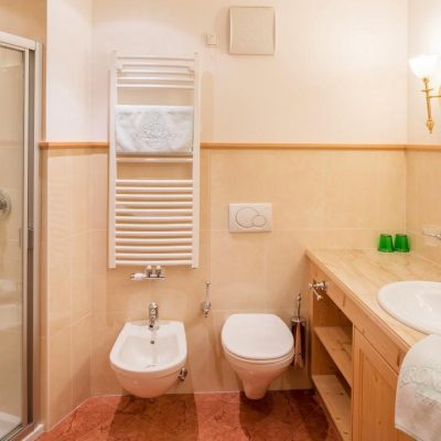 Hotel KronblickComfort Alpine double1 room